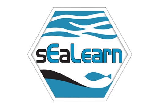 Learning Management System (sEaLearn)